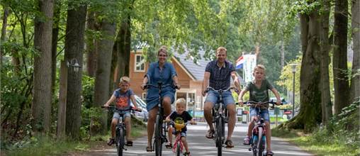 Ardoer Noetselerberg