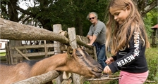 Dierenbelevenissen in het boerderijmuseum in Center Parcs Park Allgäu