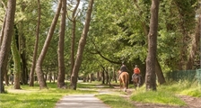 Center Parcs Excursies : Paardrijden in Center Parcs Park Allgäu