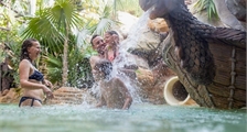 Kikkerbad voor kinderen in Center Parcs Bispinger Heide