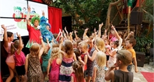 Kids Disco in Center Parcs Park Bostalsee