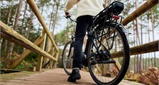 Gazelle fietsen in Center Parcs Les Hauts de Bruyères