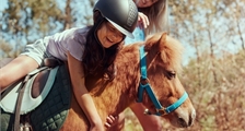 Pony Experience in Center Parcs Erperheide