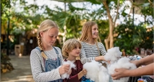 Kids Workshop: Maak je eigen knuffel in Center Parcs Erperheide