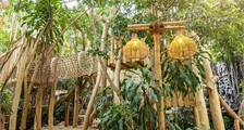 Jungle Dome in Center Parcs Het Heijderbos