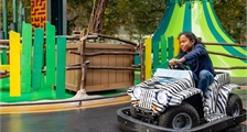 Mini-cars in Center Parcs Het Heijderbos