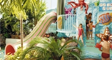 Octopus Rots in Center Parcs Limburgse Peel