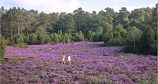 Regio faciliteiten in Center Parcs Limburgse Peel