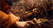 Digitale Nature Discovery in Center Parcs Parc Sandur