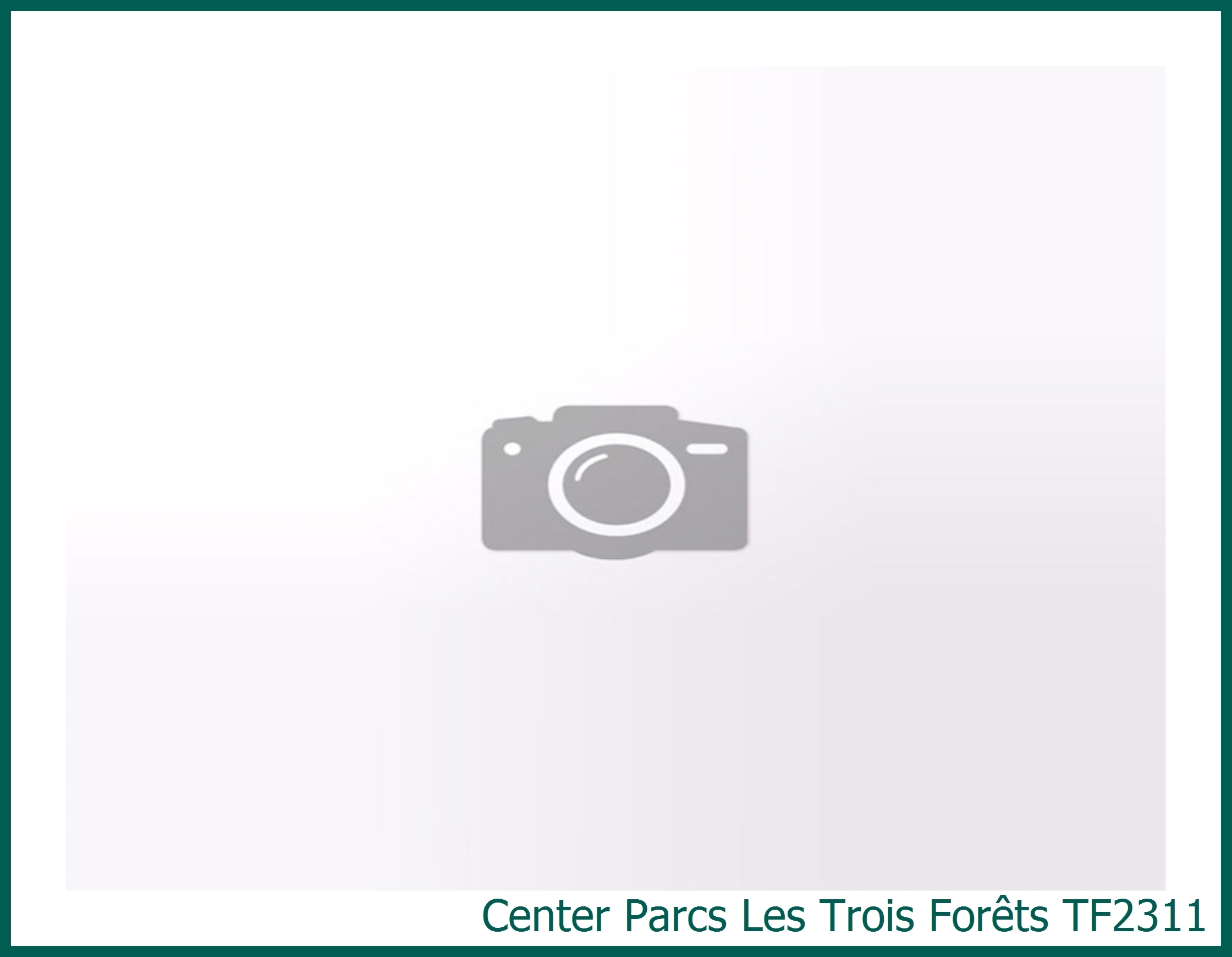 Comfort cottage Vernieuwd TF2311 in Les Trois Forêts