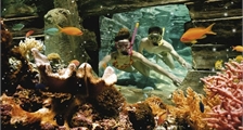 Snorkelbad in Center Parcs De Vossemeren