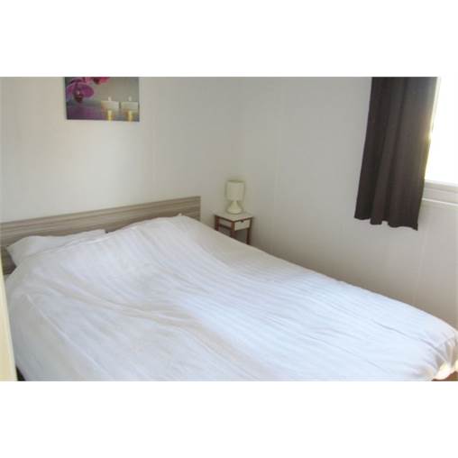 Chalet Berkel-4 in De Biesbosch