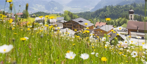 Landal Chalet Matin