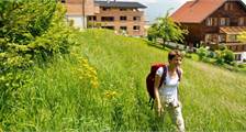 Sport en spel activiteiten in Landal Chalet Matin