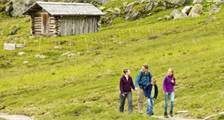 Wandelen en fietsen activiteiten in Landal Chalet Matin