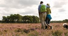 Wandelen en fietsen activiteiten in Landal De Hellendoornse Berg