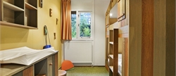 6-persoons kinderbungalow 6CK-6CK1 in Landal Heideheuvel
