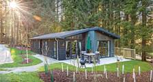 Chalet - Beech Premier Spa 4LJ1 in Kielder Waterside