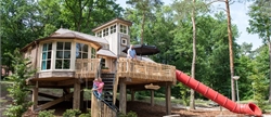 4-persoons tree house 4CTH in Landal Miggelenberg
