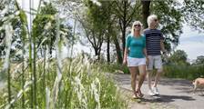 Wandelen en fietsen activiteiten in Landal Twenhaarsveld