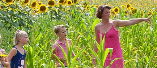 Molecaten Legénd Estate