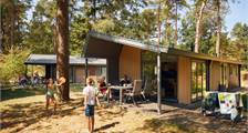 Chalet bornia in RCN Het Grote Bos