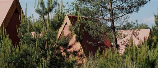 Roompot Glamp Outdoor Camp Veluwe